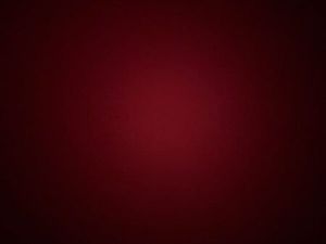 NITRO F1, ASSISTANCE