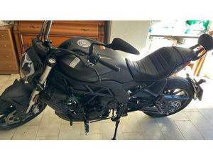 VENDO BENELLI 502 C (2021 - 25) USATA A SANTA MARIA CAPUA VETERE (CODICE 9883332) - MOTO.IT
