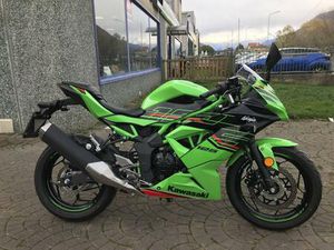VENDO KAWASAKI NINJA 125 (2025 - 26) USATA A CHIUSA DI SAN MICHELE (CODICE 9883119) - MOTO.IT