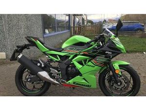 VENDO KAWASAKI NINJA 125 (2025 - 26) USATA A CHIUSA DI SAN MICHELE (CODICE 9883119) - MOTO.IT
