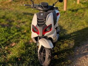 PEUGEOT SPEEDFIGHT 4 - 45KMH PAPIERE - BASTLERFAHRZEUG