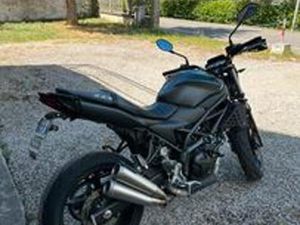 SUZUKI SV 650 X-TER