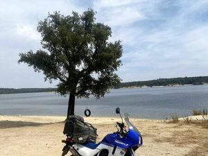 HONDA TRANSALP 600 BENFICA