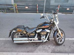 HARLEY-DAVIDSON SOFTAIL STANDARD - 2023