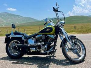 HARLEY DAVIDSON SPRINGER