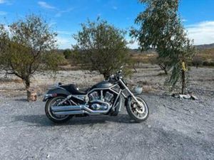 HARLEY DAVIDSON VRSCA V-ROD – 2006 – 22.304 KM – 1131CC — MOTOREN | HARLEY-DAVIDSON — MARKTPLAATS
