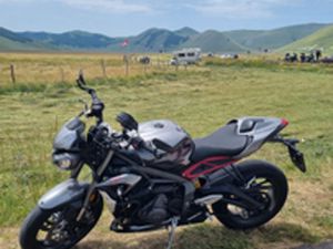 TRIUMPH STREET TRIPLE - 2022