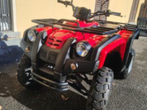 QUAD ATV ADLY 50 XXL TARGATO