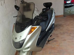 VENDITA MAJESTIC 250