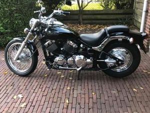 YAMAHA XVS 650 DRAGSTAR (1998) – SLECHTS 8.000 KM! — MOTOREN | YAMAHA — MARKTPLAATS