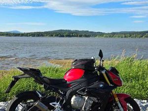 R - DYNAMIC PAKET - FRISCHES LANDESREGIERUNG LINZ PICKERL