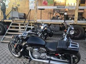 HARLEY DAVIDSON V ROD MUSCLE ABRANTES (SÃO VICENTE E SÃO JOÃO) E ALFERRAREDE