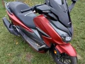 SKUTER HONDA FORZA LIGOTA POLSKA