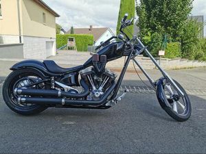 BIG DOG K9 LIMITED EDITION NR. 63/100