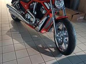 HARLEY-DAVIDSON V-ROD - 2006