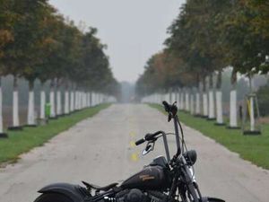 CROSS BONES FLSTSB / SOFTAIL CROSSBONES SPRINGE