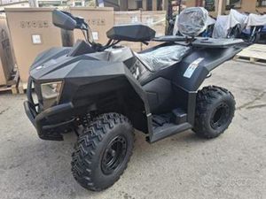QUAD CYBERROAMER 250 CC RUOTE 10 MAXI