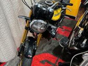 KAWASAKI Z 900 RS - 2024