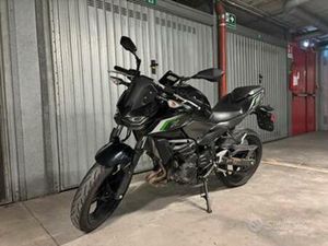 Z500 2024