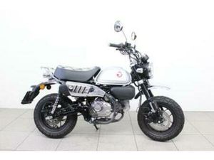 HONDA MONKEY Z 125 (BJ 2024) — MOTOREN | HONDA — MARKTPLAATS