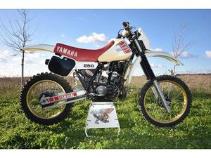 YAMAHA YZ 250 DE 1982 À VENDRE - MOTO ANCIENNE DE COLLECTION