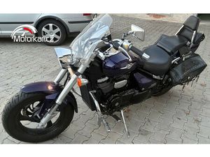 SUZUKI M 800 INTRUDER