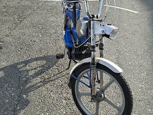 TÖFFLI PONY 503 GTX CANTON BERNE -