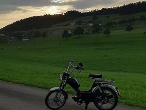 PONY GTX CANTON SCHWYTZ -