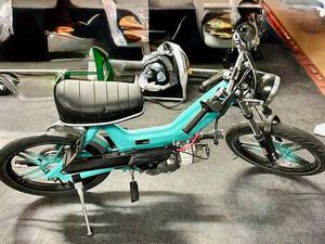 PUCH CUSTOM CANTON TESSIN -