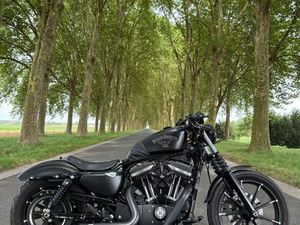 HARLEY DAVIDSON IRON 883