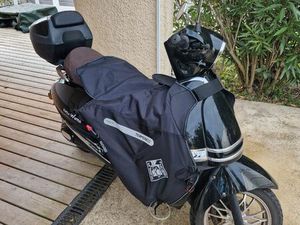 SCOOTER ÉLECTRIQUE EASY WATTS 125 CC