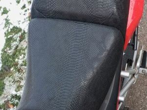 650 BANDIT BRIDÉ A2