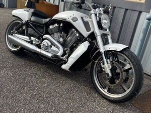 HARLEY VROD MUSCLE 1250