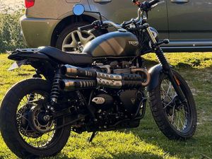 TRIUMPH STREET SCRAMBLER 900 - ZARD