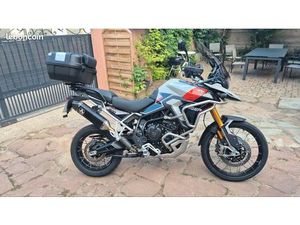 TRIUMPH TIGER 900 RALLY PRO 2025