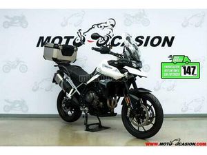 TRIUMPH - TIGER 900