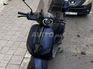 LEONARDO MOLDE 11/2024