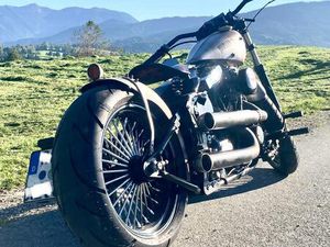 HARLEY DAVIDSON EVO SOFTAIL 105 DB &#034;RAWSTYLE&#034;