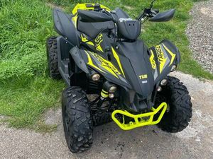 QUAD TGB TARGET 600 EPS