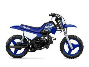2020 YAMAHA PW50
