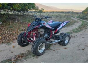 YAMAHA RAPTOR