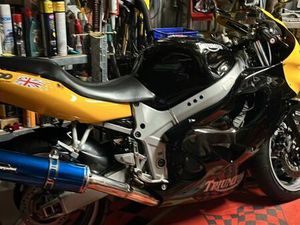 TRIUMPH, TT, 2003, 599 (CC)