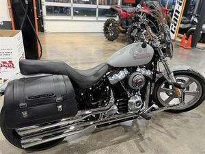 2024 HARLEY-DAVIDSON SOFTAIL® STANDARD