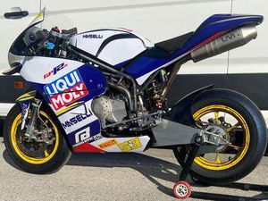 MINIGP PITBIKE GRC GP12 DAYTONA 190