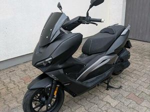 LUXXON SILVERMAX 125 CCM
