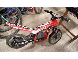 MINI TRIAL BETA ELETTRICO E16 2015