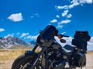 HARLEY-DAVIDSON SOFTAIL FAT BOB - 2018