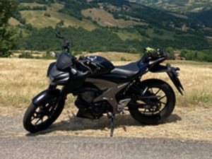 SUZUKI GSX S 125