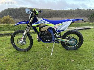 SHERCO 300