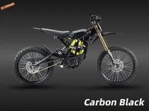 2026 SURRON LIGHT BEE X